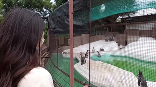 专属福利情人【上】字幕