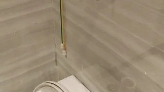 【麻豆传媒】换妻游戏微醺魅惑伴侣置换-苏清歌 蜜苏