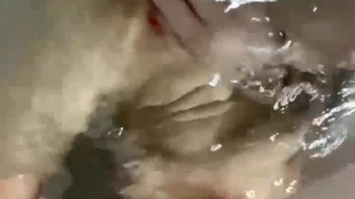 老师你夹得好紧好爽后入杭州学生妹（找单女）！